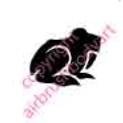 0213 frog re-usable stencil